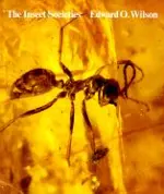 The Insect Societies (Harvard Paperbacks)